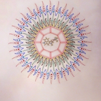 transition-molecule