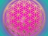 floweroflife